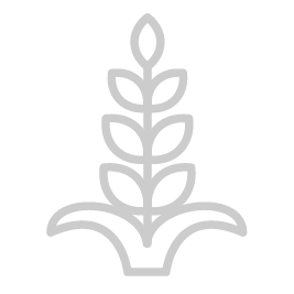 icon pasta 02